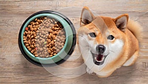 Dog Next to Bowl of Dog Food. Generative AI