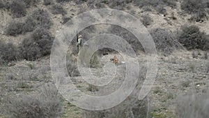 A dog next to a hunter walking with a ferret