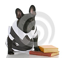 Dog obedience school