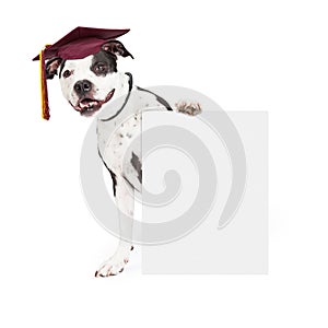 Dog Obedience School Graduate Holding Blank Sign