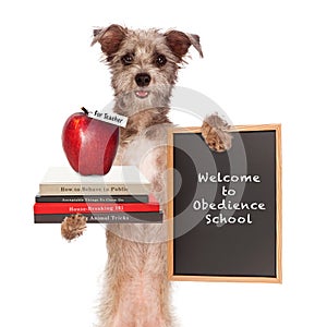 Dog Obedience School Teacher photo