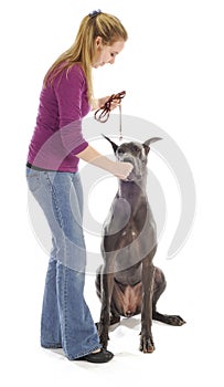 Dog obedience training