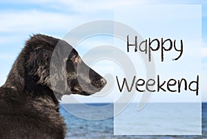 Dog At Ocean, Text Happy Weekend photo