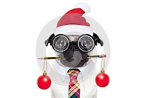 Dog office worker on christmas holidays