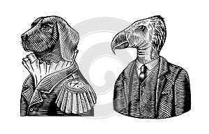 Dog officer and California condor gentleman. Great Dane. Fashion animal character. Military man in the old uniform. Hand