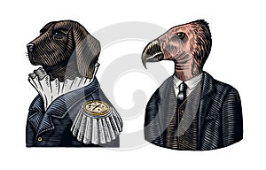 Dog officer and California condor gentleman. Great Dane. Fashion animal character. Military man in the old uniform. Hand