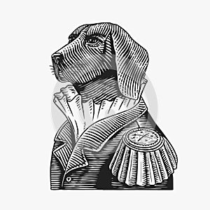 Dog officer or military man in the old uniform. Great Dane. Fashion animal character. Hand drawn vintage sketch. Vector