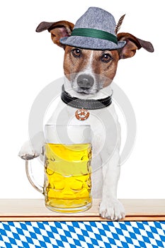 Dog oktoberfest