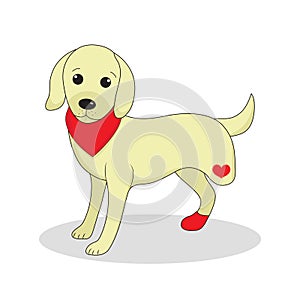 Dog without one leg. Dog invalid. Puppy with an injury. Vector illustration