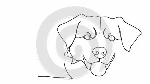 Dog. One line drawing animation. Video clip with alpha channel.