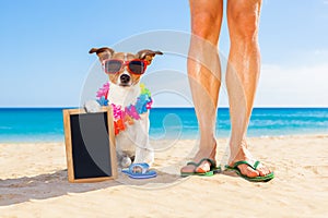 Il cane un il proprietario estate vacanza 