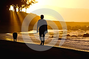 Dog and owner on sunset beach