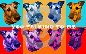 Dog paint funny popart photo