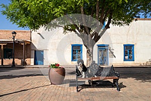 Dog on a park bench in the town square in Mesilla, New Mexico photo