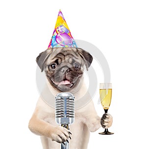 Dog in party hat holding retro microphone and glass of champagne. Isolated on white background