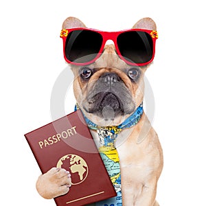 Dog passport