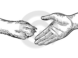 Dog paw handshake engraving vector illustration