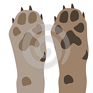 Dog paw look from below vector illustration flat