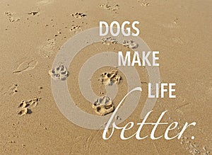 Dog paw prints in the sand on the beach with quote