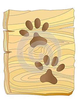 Dog paw prints on wooden Board.