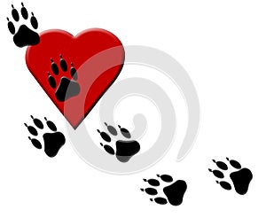 Dog Paw Tracks on Heart