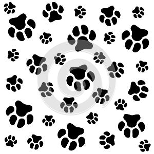 Dog paw. White background and dog tracks. Pattern with traces.