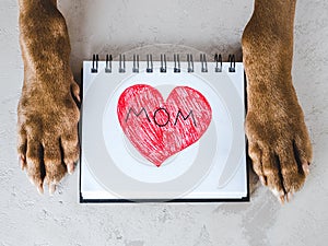 Dog paws and a card with words of love for Mom