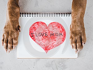 Dog paws and a card with words of love for Mom