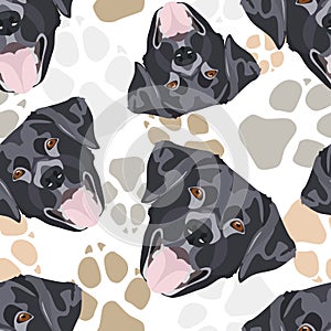 Dog paws pattern black Labrador