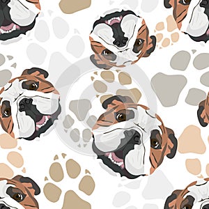 Dog paws pattern English Bulldog