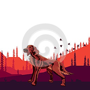 Dog pedigree Irish setter on the hunt, cartoon on a white back