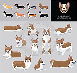 Dog Pembroke Welsh Corgi Brown Beige Coat Cartoon Vector Illustration Color Variation Set