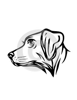 Dog Pet Animal Face Drawing