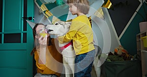 Dog pet birthday party, Happy family mother and child congratulating pet with birthday cupcake, child hugging a dog, the