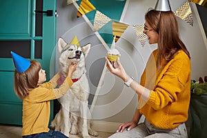 Dog pet birthday party, Happy family mother and child congratulating pet with birthday cupcake, child hugging a dog
