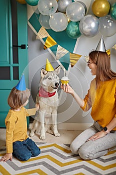 Dog pet birthday party, Happy family mother and child congratulating pet with birthday cupcake happy birthday