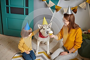 Dog pet birthday party, Happy family mother and child congratulating pet with birthday cupcake happy birthday