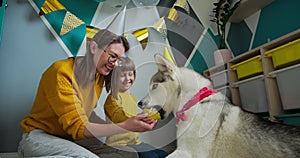Dog pet birthday party, Happy family mother and child congratulating pet with birthday cupcake, have fun, the dog eating
