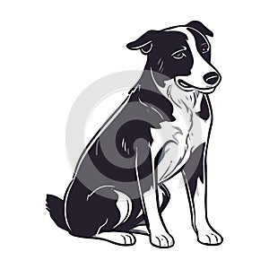 Dog pet loyal, purebred terrier