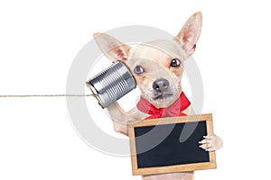 Dog on the phone