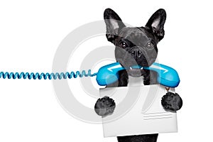 Dog phone telephone