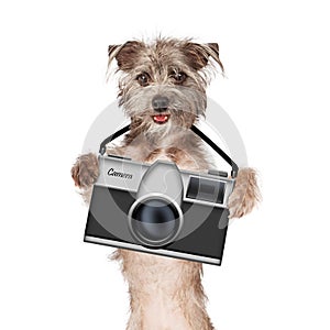 Dog Photographer With Camera