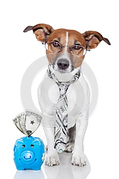 Dog with piggy bank