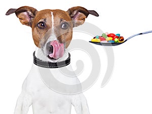 Dog pills diet