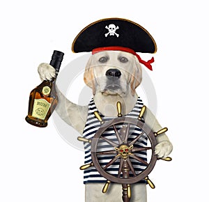 Dog holds helm of pirate ship 2