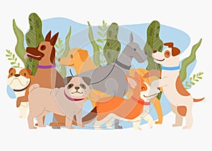 Dog plant composition, animal illustration, cute pet, sketch design for doggy, friend adorable, cartoon style vector
