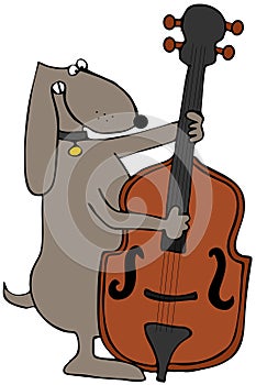 Dog Playing Bass