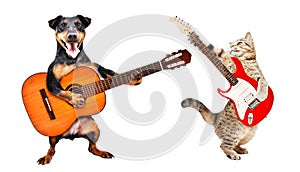 The dog plays the acoustic guitar and the cat plays the electric guitar