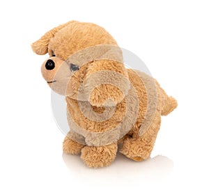 Dog plushie doll isolated on white background with shadow reflection. Playful bright brown puppy toy. Plush stuffed puppet.