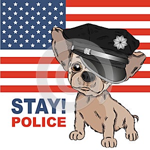 A dog in a police cap. Dog on the background of the American flag. Vector illustration